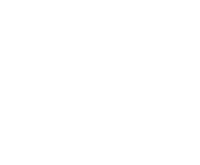 Evolution games at High Roller Palace Casino